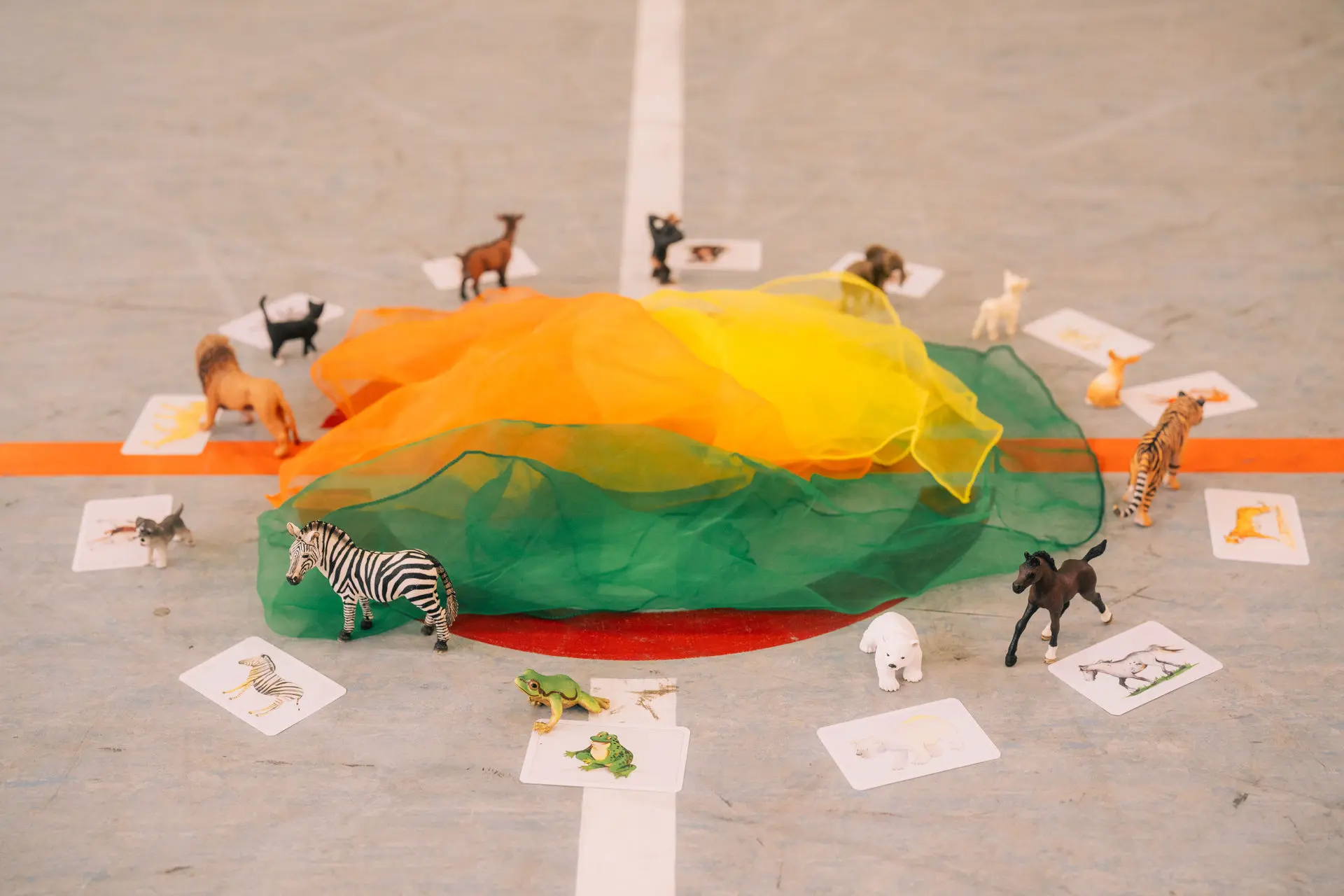 Kinder in Bewegung von Lisa Haas - Foto zeigt Figuren von Tieren am Boden der Turnhalle